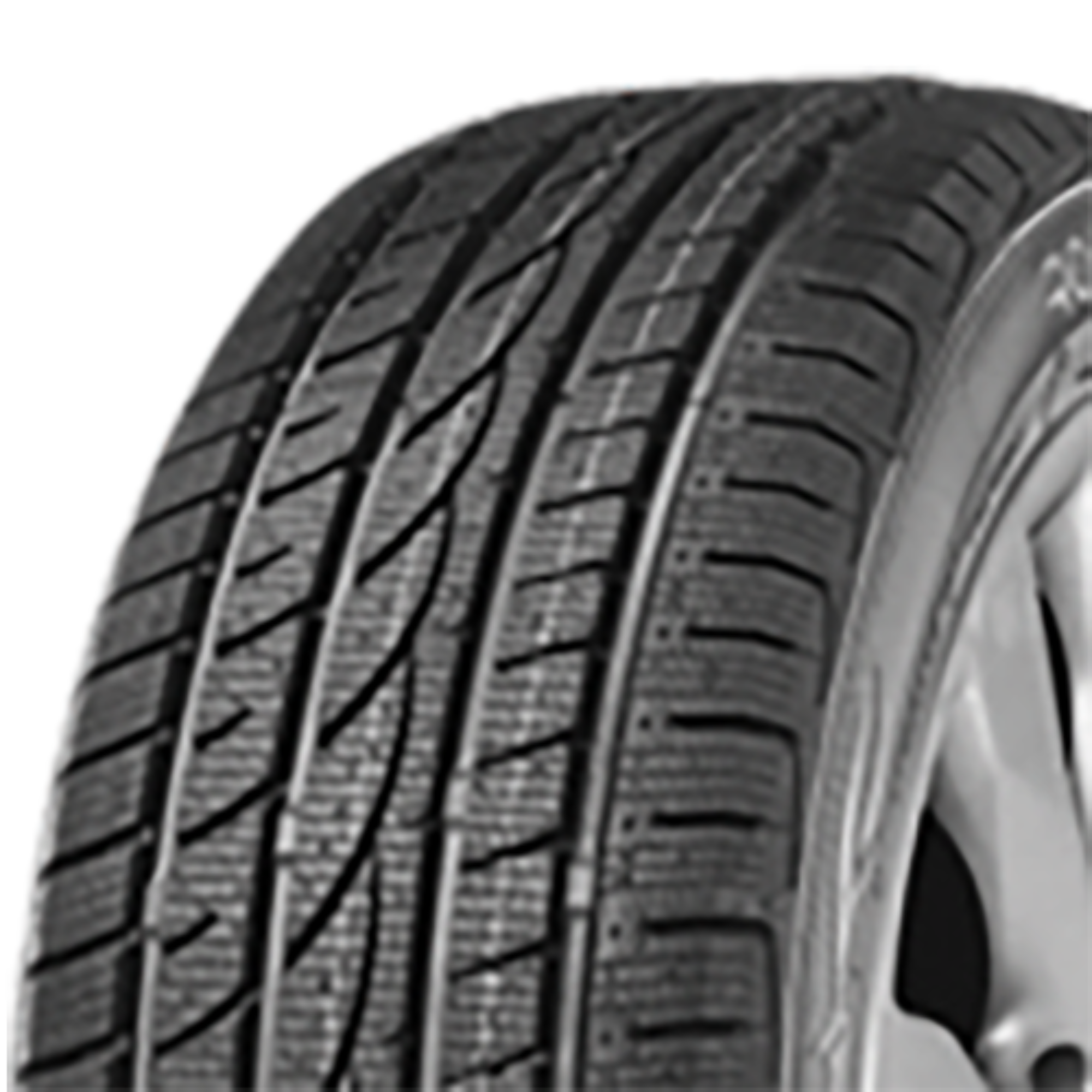 Royal Black Royal Winter 255/55 R19